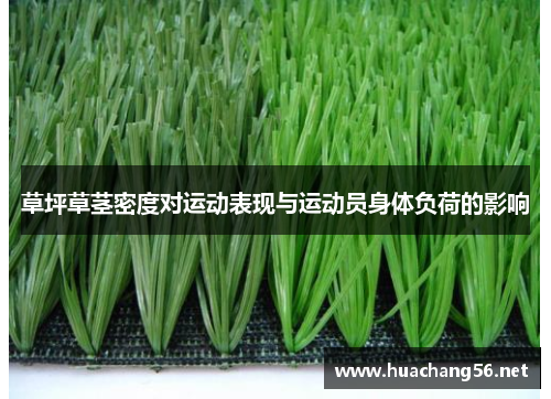 草坪草茎密度对运动表现与运动员身体负荷的影响